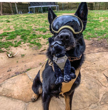 Load image into Gallery viewer, K9 Plushie Goggle