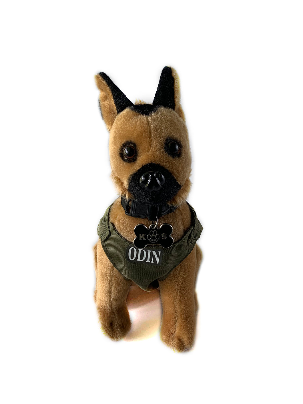 K9 Odin