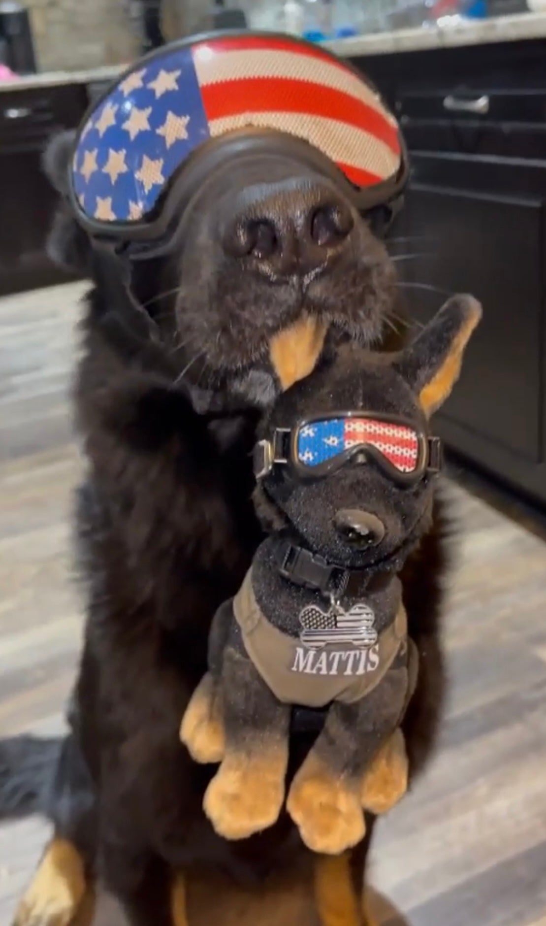 Georgia K9 Hero Plushies EmmaLovesK9s